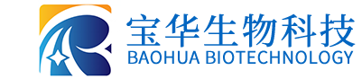 星空app登录入口-星空（中国）
